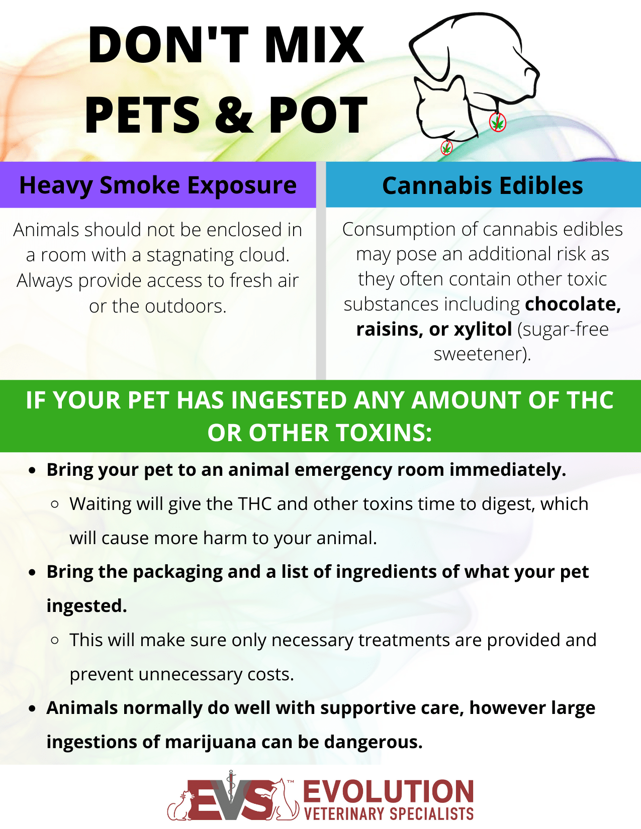 THC Toxicity in Pets Evolution Veterinary Specialists