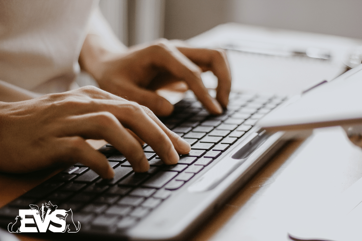 Ordering Pet Prescriptions Online Evolution Veterinary Specialists