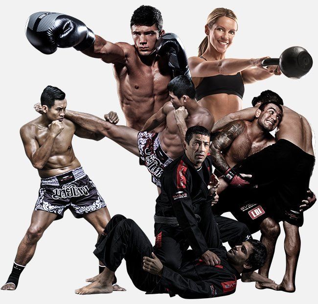 Mixed Martial Arts Classes Singapore asiaalmablog