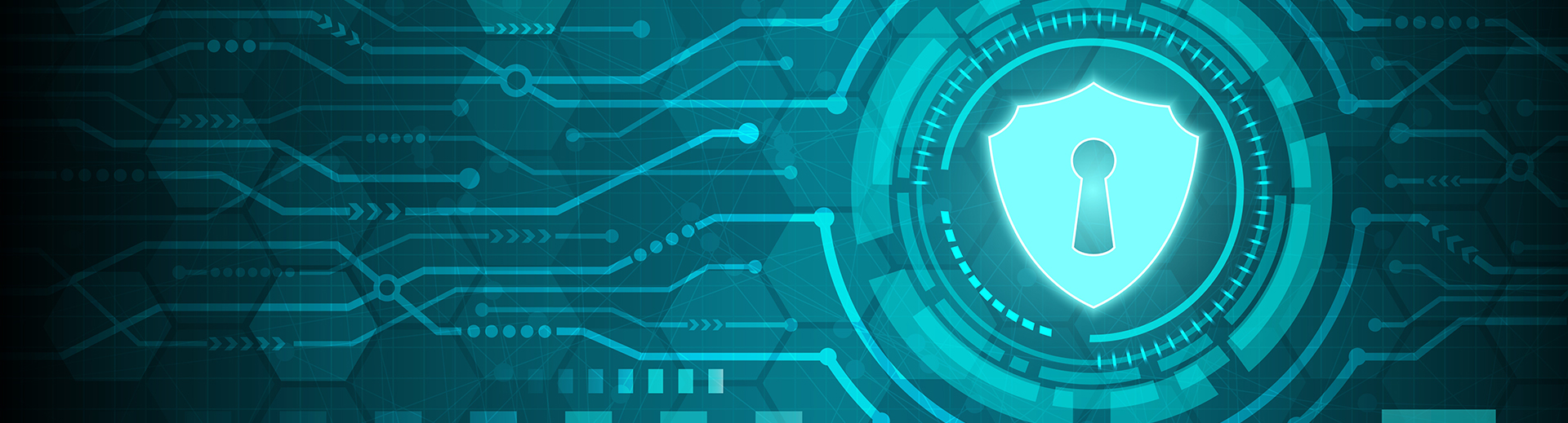 Evolve Technologies (Pvt) Ltd Cyber Security Sentinel One