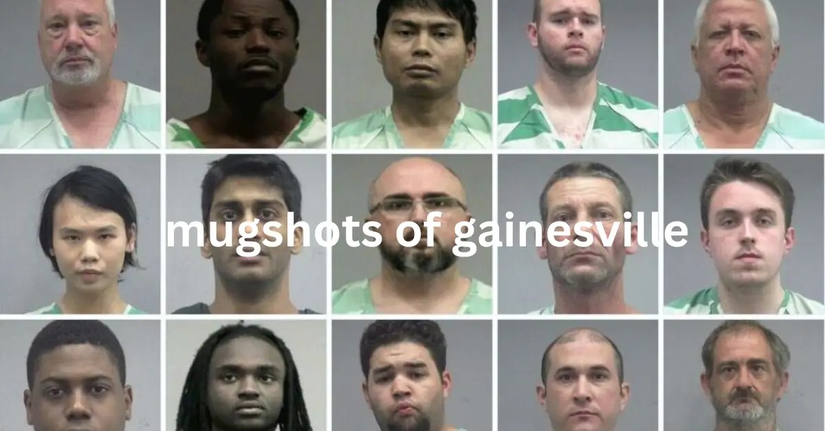 Mugshots of Gainesville Your Complete Guide to Arrest Records and