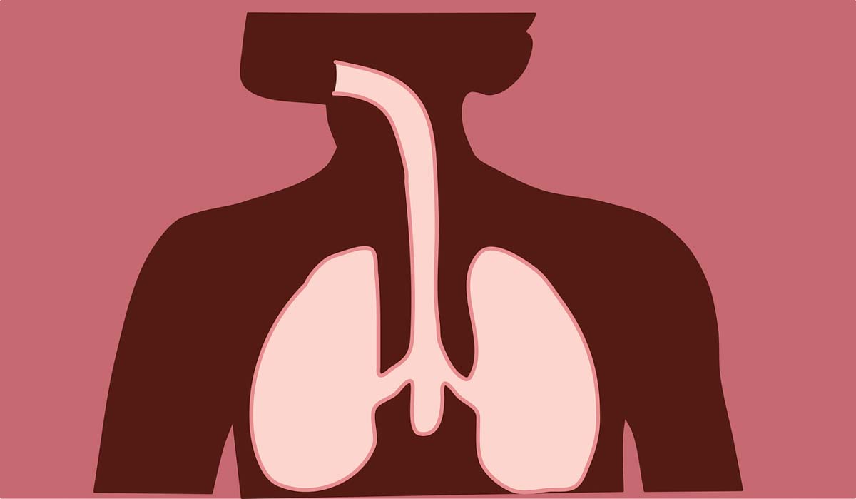 How Do Drugs And Alcohol Affect The Respiratory System? Evolve Indy