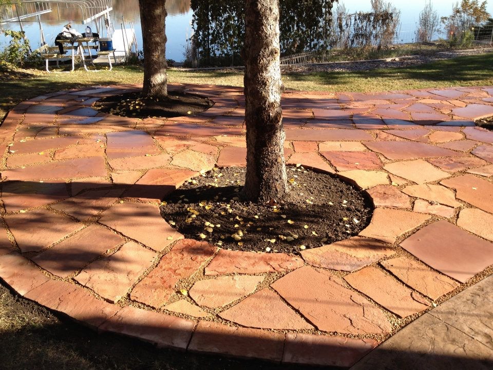 Enlarged Patio around Tree Grouping Evolving Environments, LLC