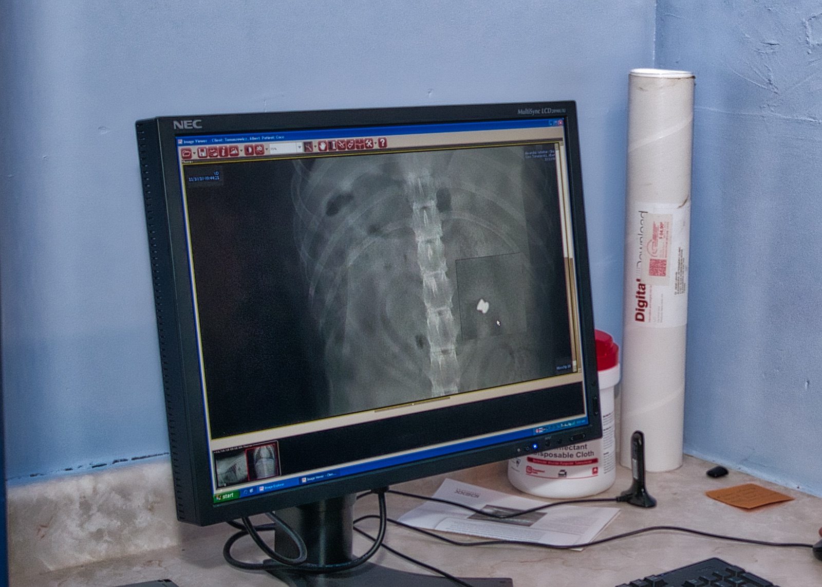 Alexandria Veterinary Clinic Evolving Media and Design Inc.