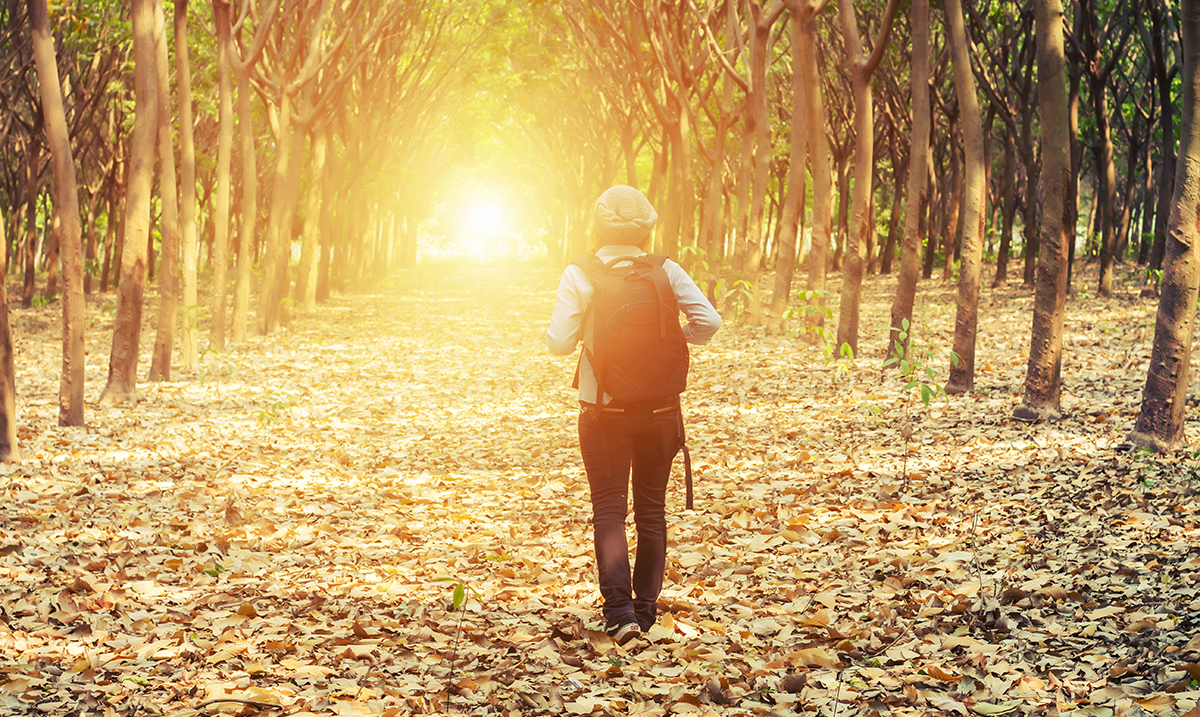 5 Often Overlooked Benefits of Being a Lone Wolf Evolve Me