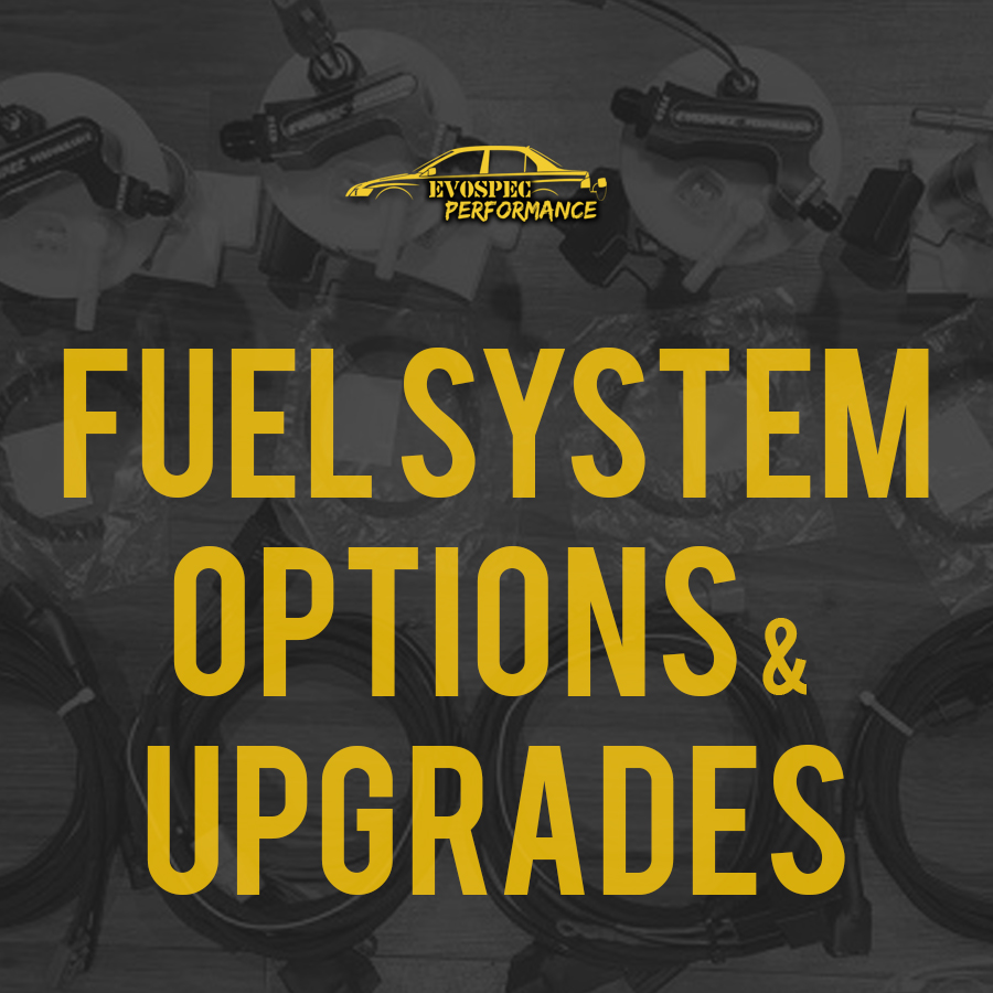 Inline fuel filter Evospec Performance