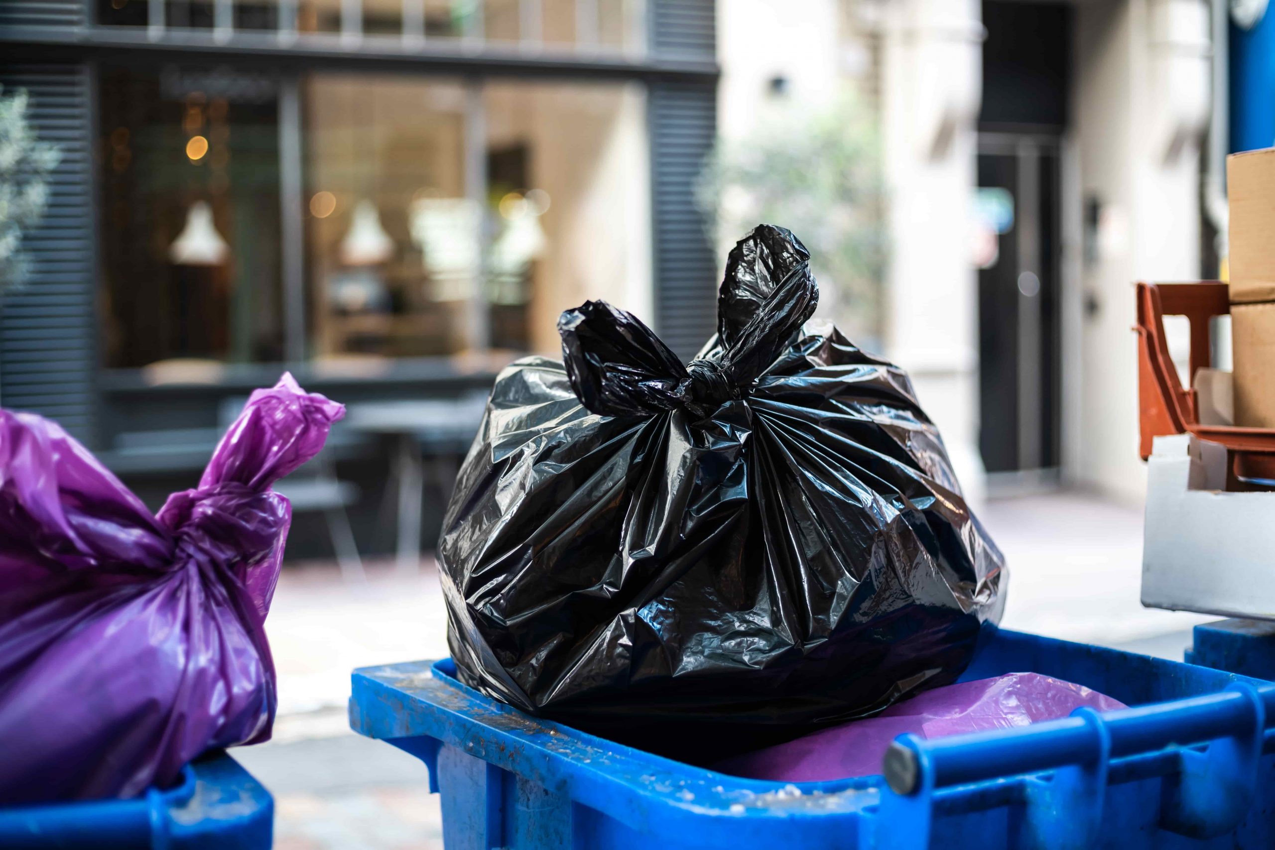 What do purple bins mean? Leia aqui What goes in purple waste bin