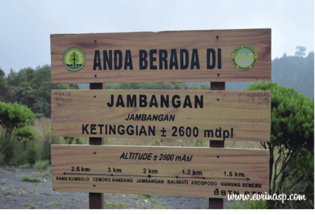 Petualangan Mahameru: (4) Cemoro Kandang-Kalimati – Evventure