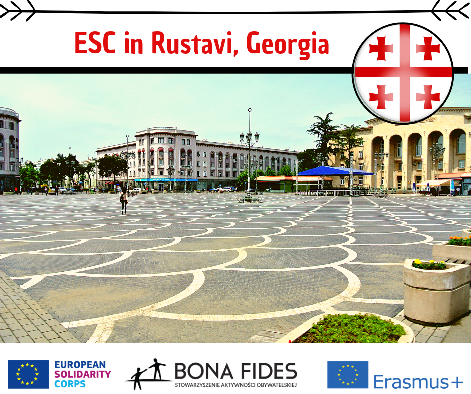 ESC in Rustavi, Wolontariat Europejski