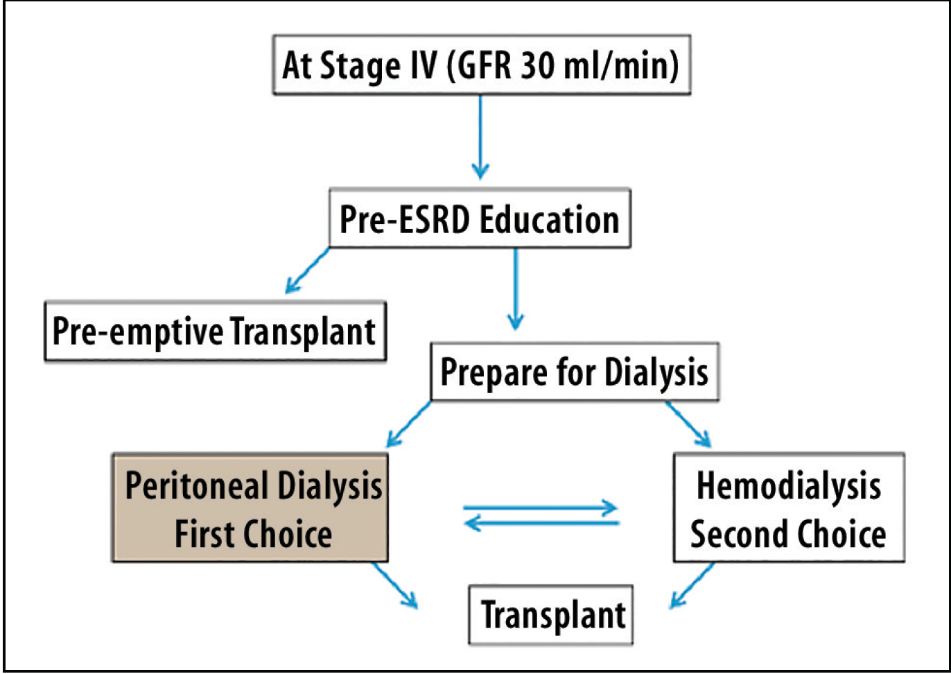 Determining the Right Dialysis Access for Every Patient Endovascular