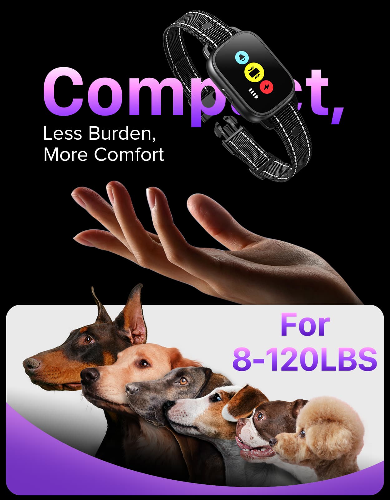 Evuime Dog Training Collar