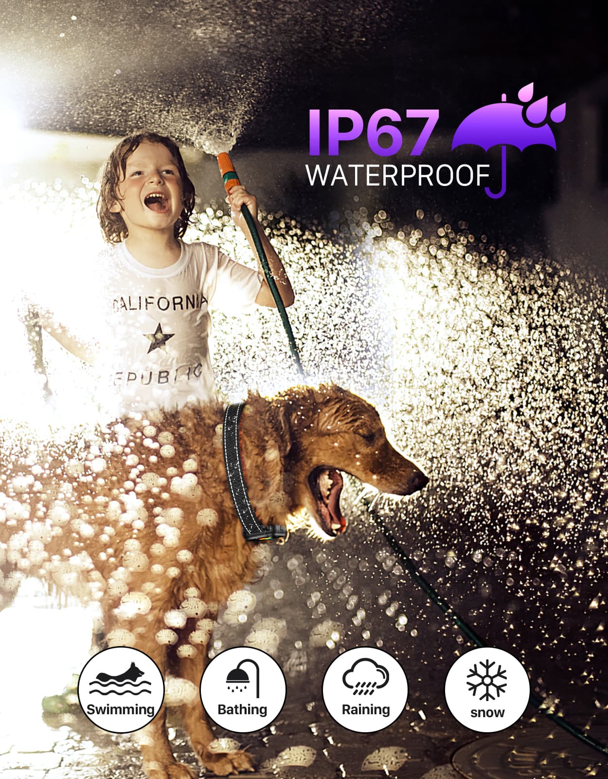 Evuime Dog Training Collar