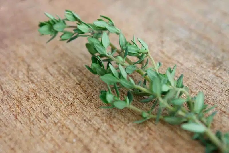 11 Herbs That Smell Good & How To Use Them Indoors Sprouting Fam