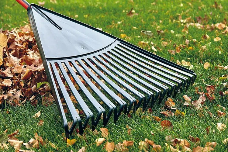 Best Lawn Rake Top 5 Picks for a Perfectly Manicured Lawn 2023