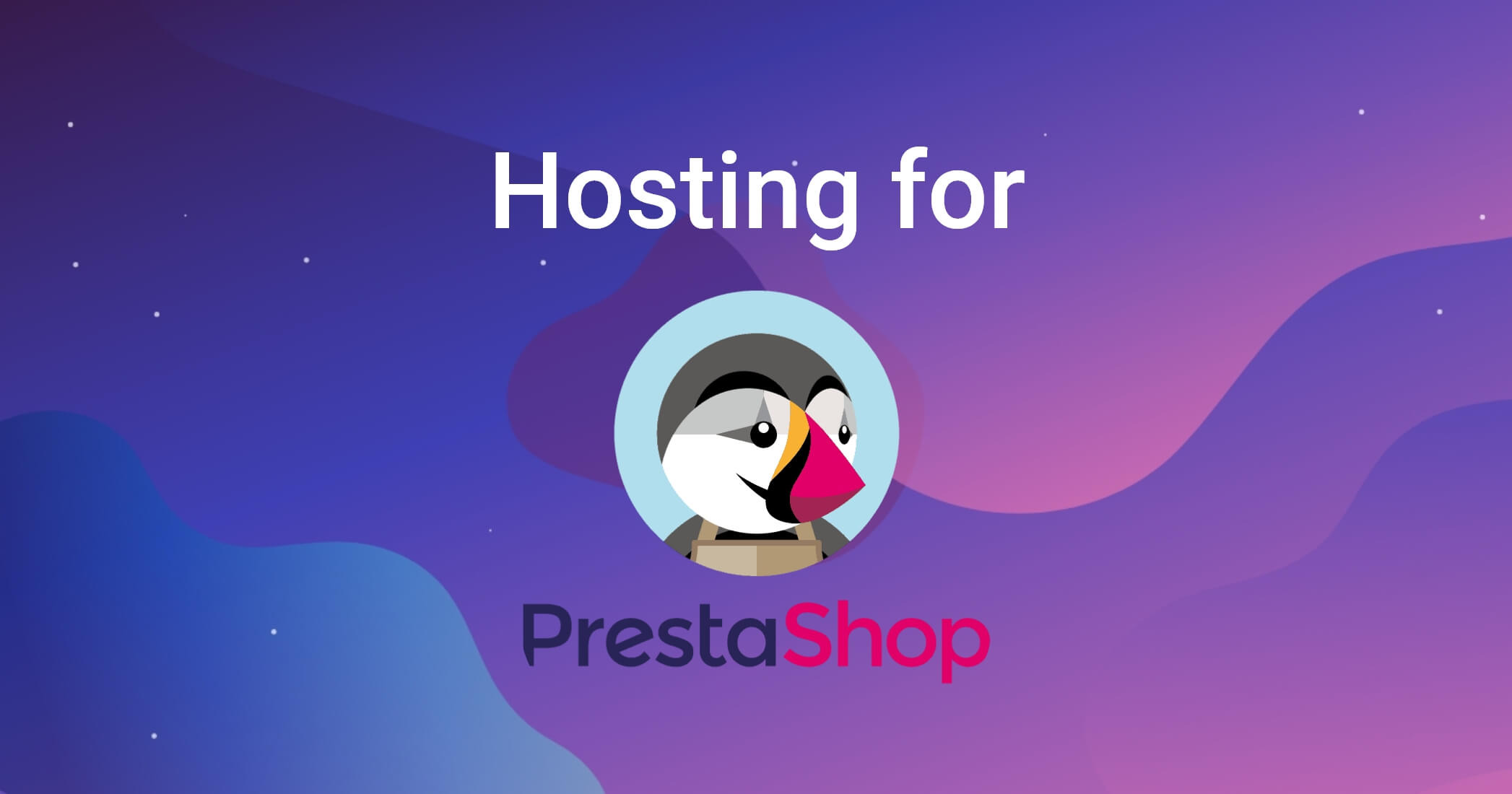 Hosting for an online store on