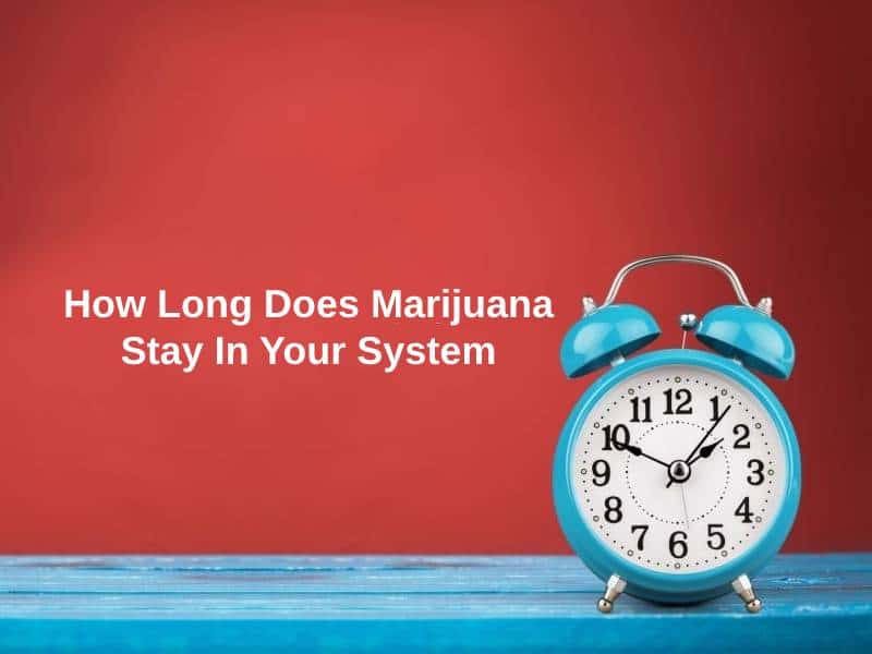 How Long Does Marijuana Stay In Your System (And Why)?