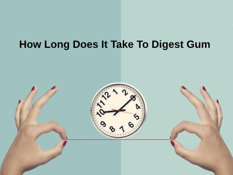 How Long Does It Take To Digest Gum (And Why)?