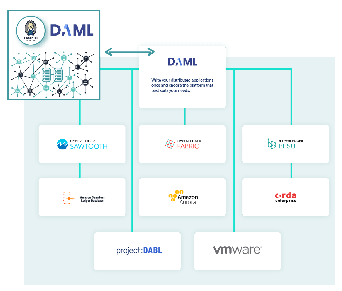 A Case Study for Testing Distributed Ledger Technology
