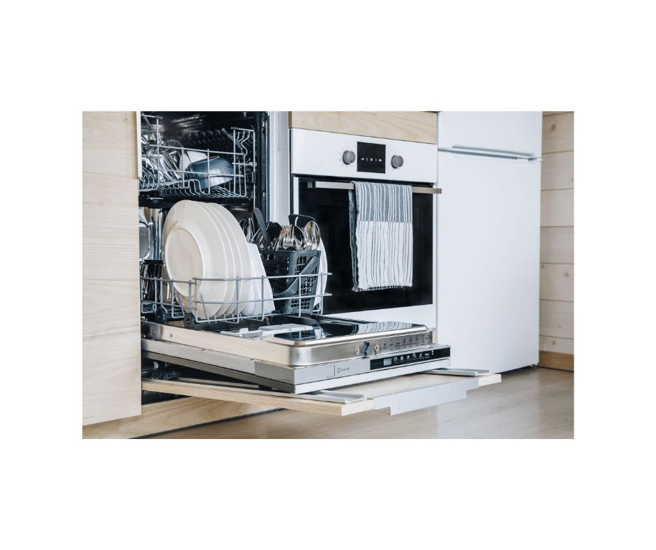 What Types of Mold Might Lurk Inside of Your Dishwasher? Exact Recon