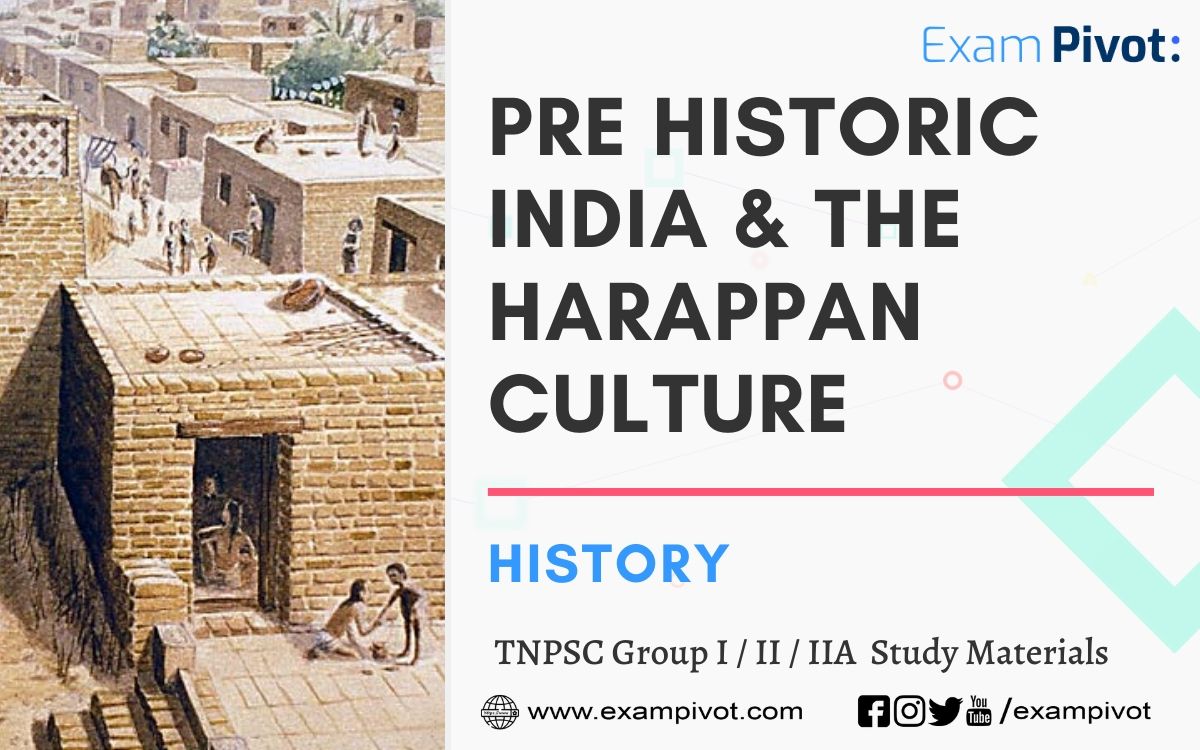 Pre Historic India and The Harappan Culture Exam Pivot