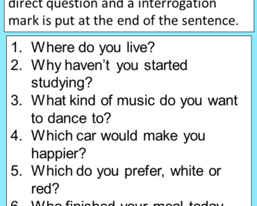 30 Interrogative Sentences Examples, Definition and Examples - Example