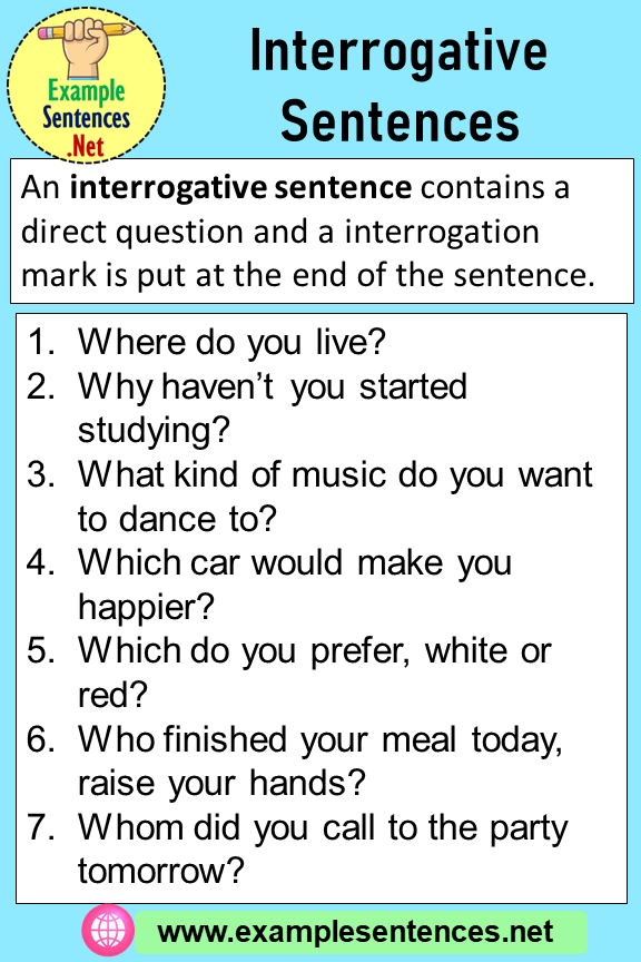 7 Interrogative Sentences - Example Sentences