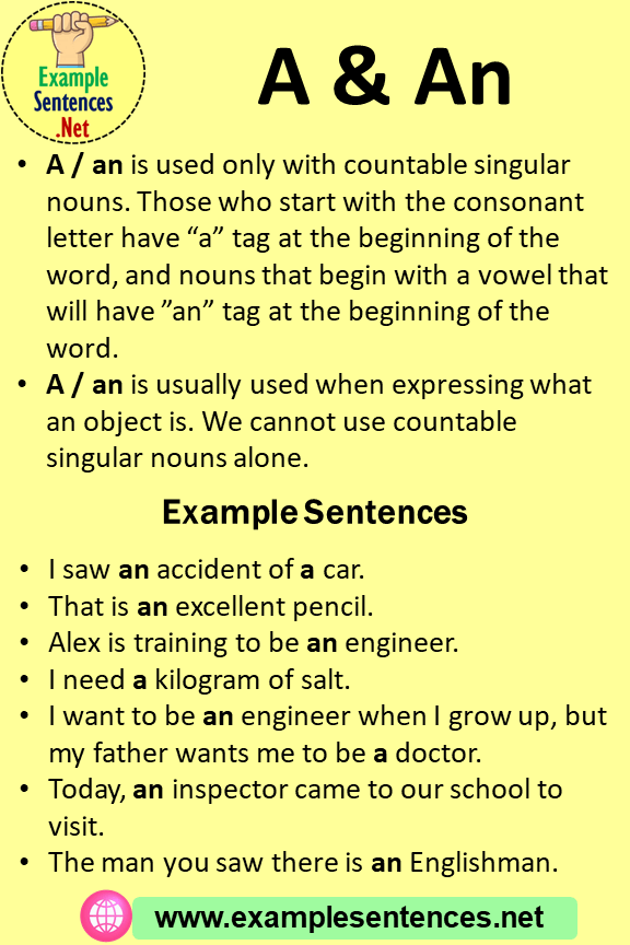 How To Use A An Articles Example Sentences Example Sentences