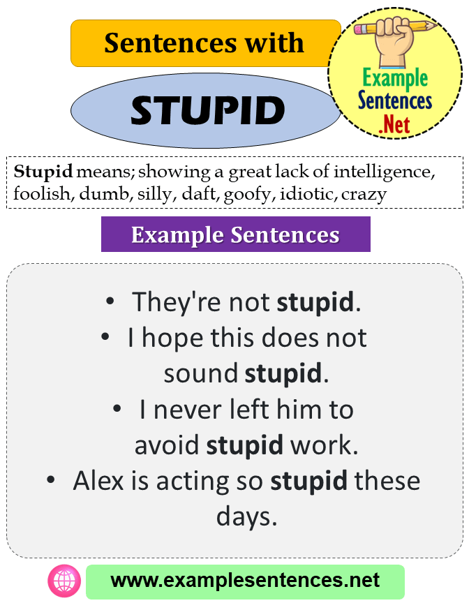 Sentences with Stupid, Definition and Example Sentences Example Sentences