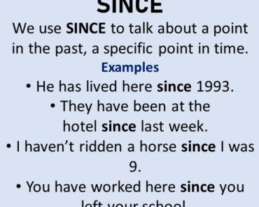 Since In A Sentence Archives - Example Sentences