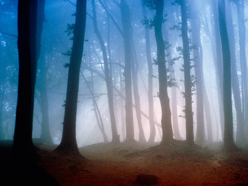 Examples of Natural Lights