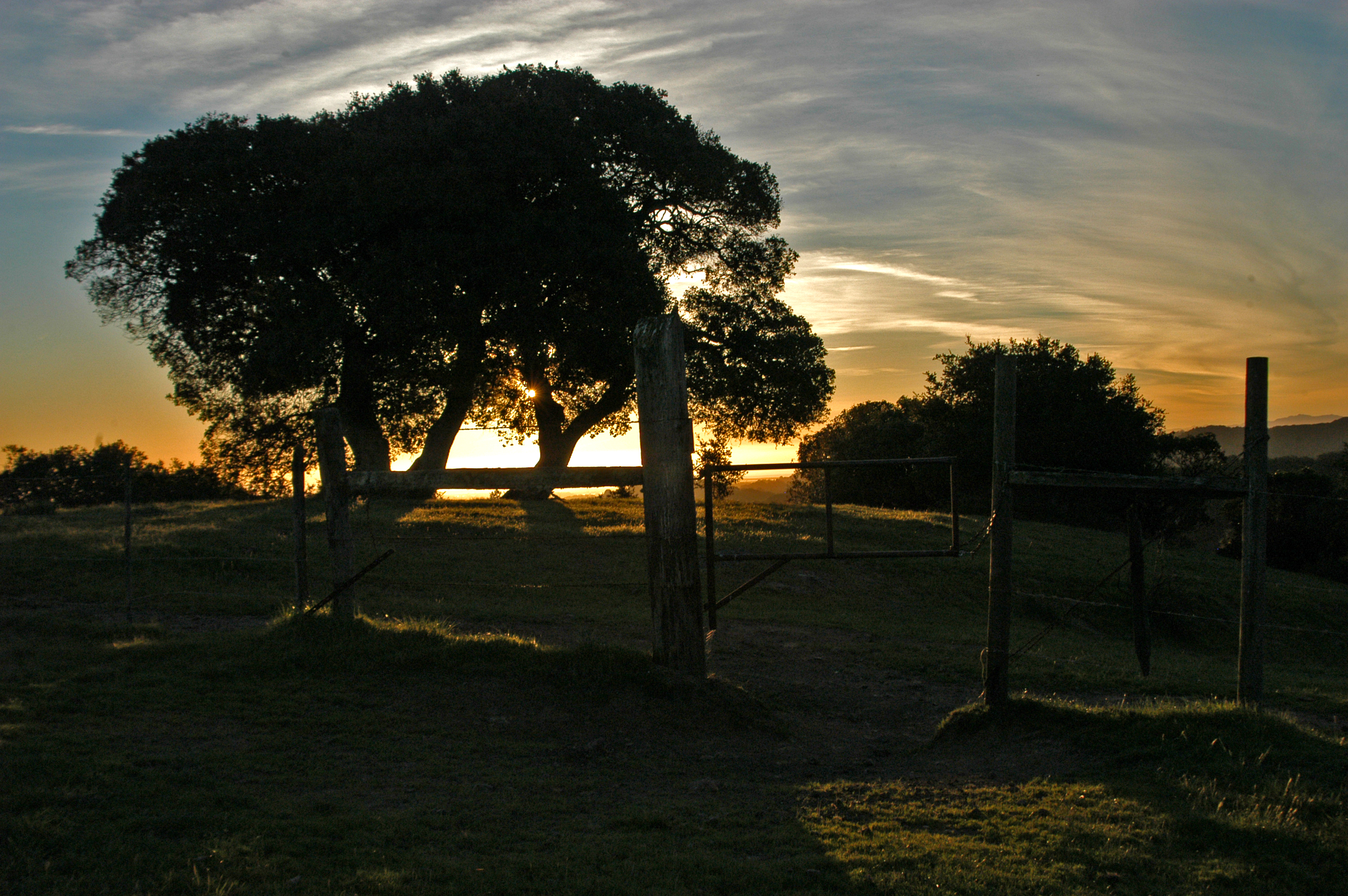 Examples of Natural Lights