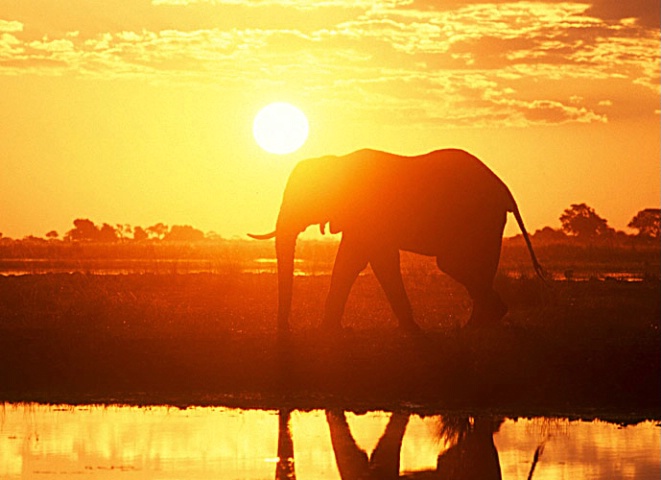 Examples of Natural Lights