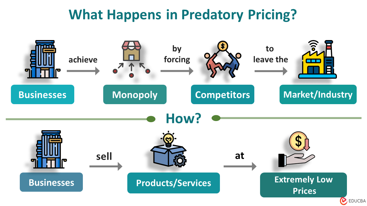 Examples of Predatory Pricing Impacting Markets
