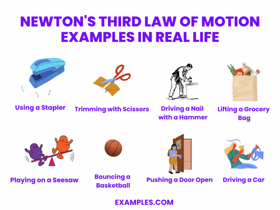 Newton's Third Law Examples in Everyday Situations