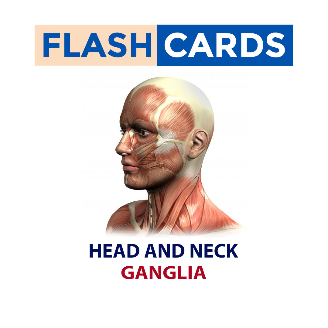 GANGLIA HEAD AND NECK ANATOMY Exams DMAedu