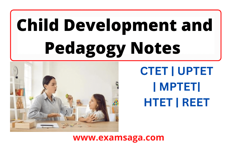 Child Development and Pedagogy Notes PDF 2024 EXAMSAGA