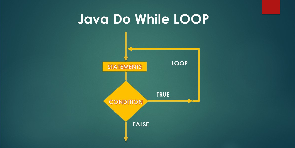 Last Minute Java Do While Loop with Break & Continue Tutorial ExamTray