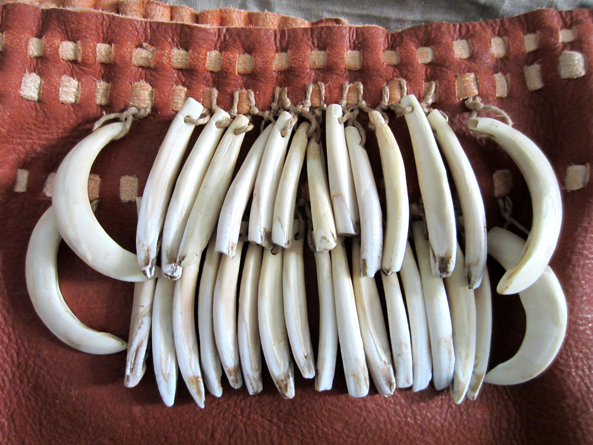 Animal Teeth in a Late Mesolithic Woman’s Grave, Reconstructed as a