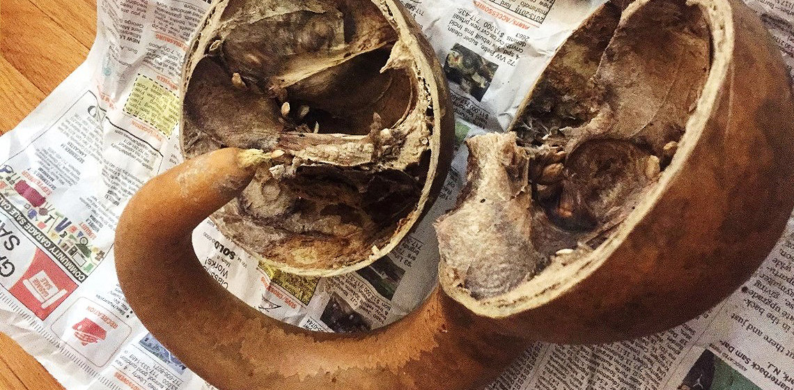 Bottle Gourd as an Implement for the Poor in Roman Italy EXARC