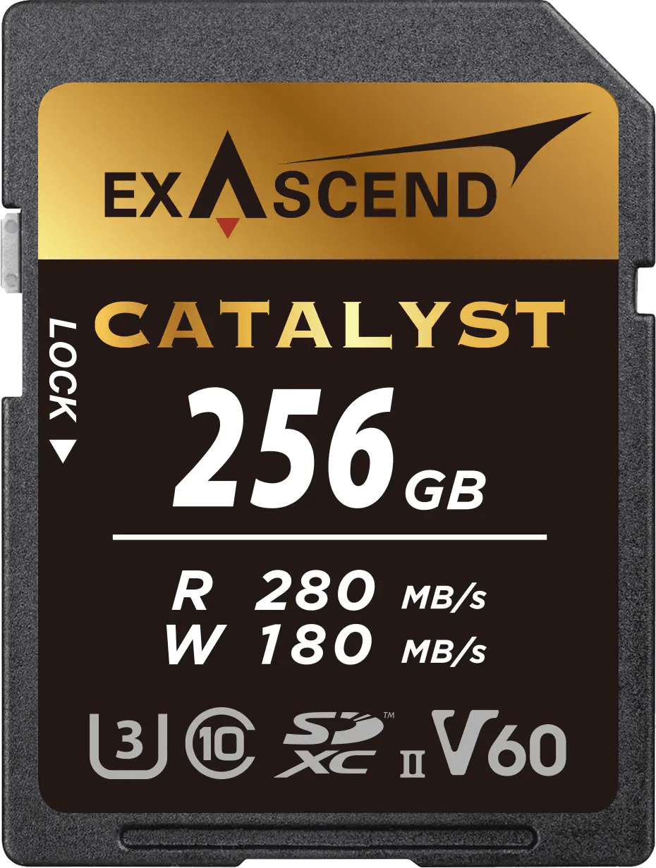 SD (UHSII V60) Exascend