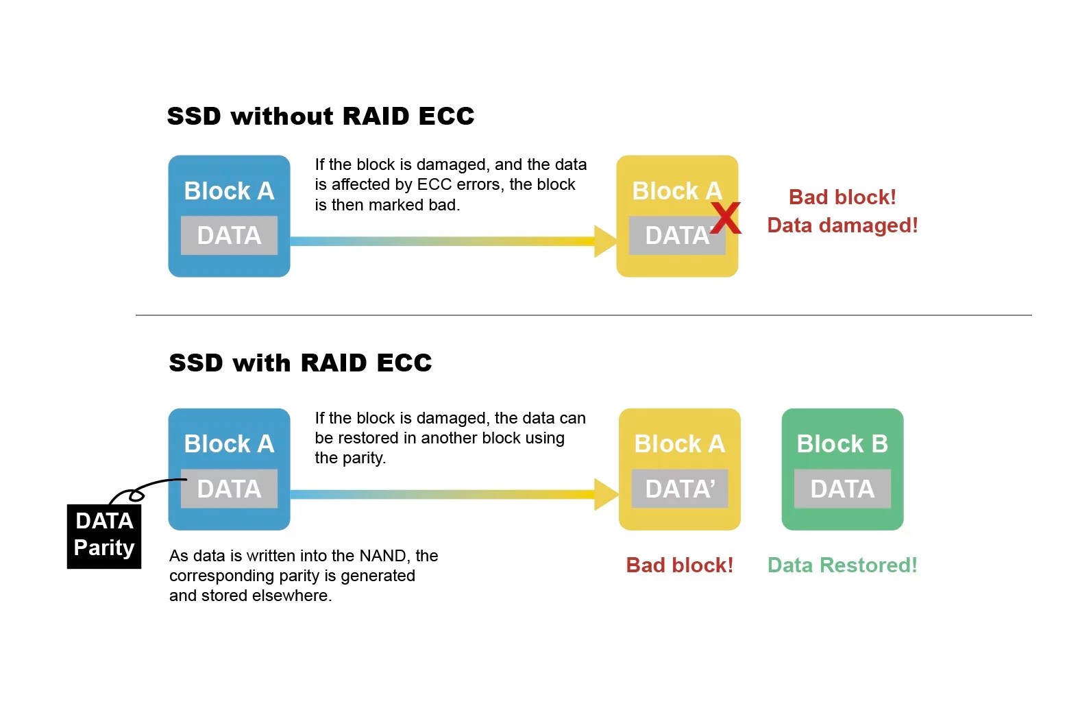 RAID ECC Technology Exascend