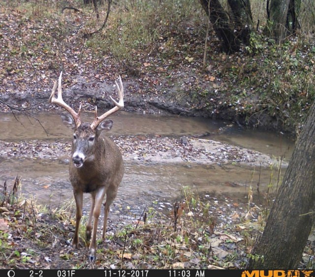 Deer Stand Placement Diagrams - exatin.info