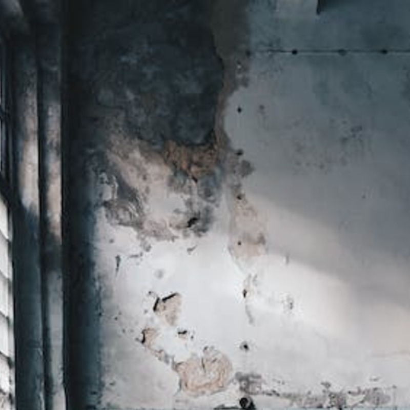 Mold, OSHA Position For Construction Exceed Safety