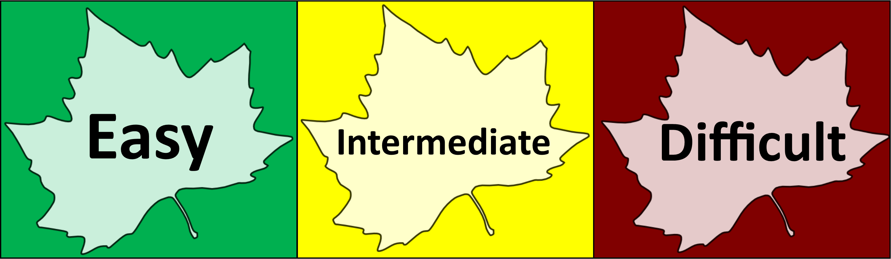 Growing Tips and Seed Saving