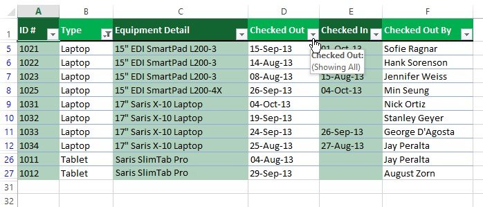 How to apply Multiple Filters in Excel