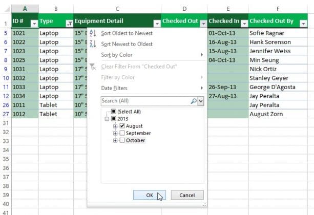 How to apply Multiple Filters in Excel