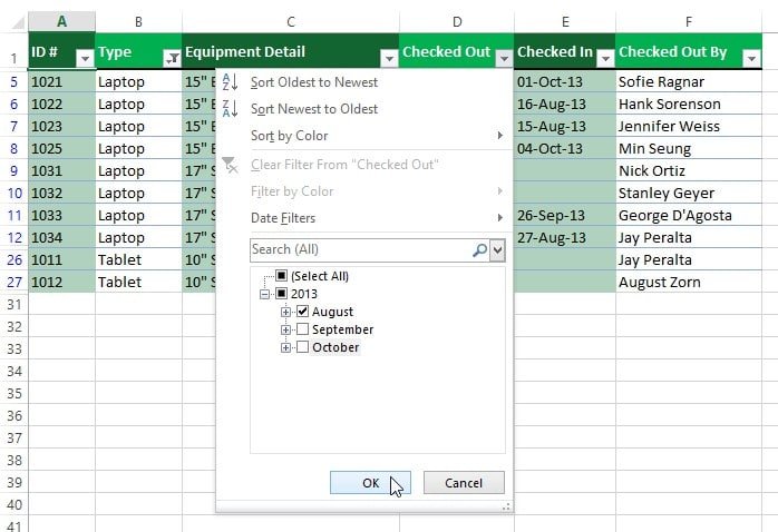 How to apply Multiple Filters in Excel