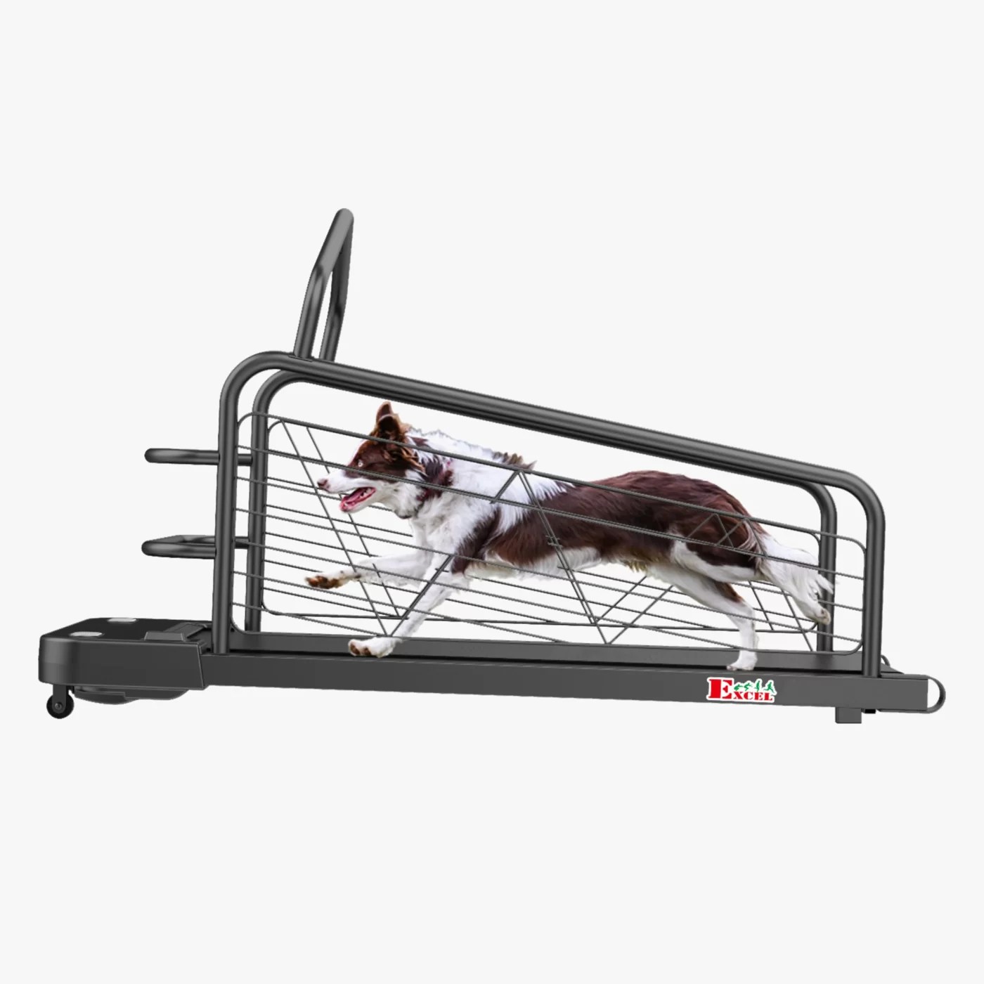 Kennel Dog Treadmill Best Dog Treadmill in India