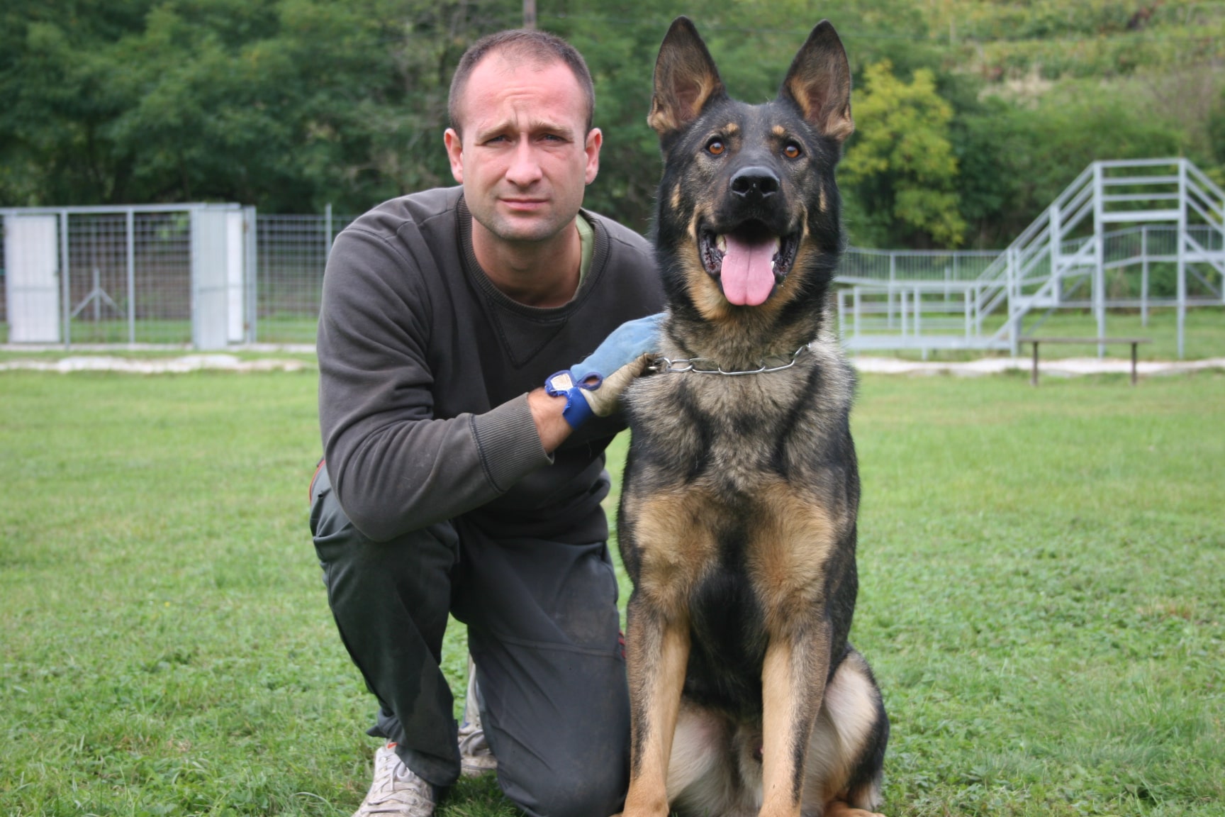 Executive Family Protection Dogs Excel K9