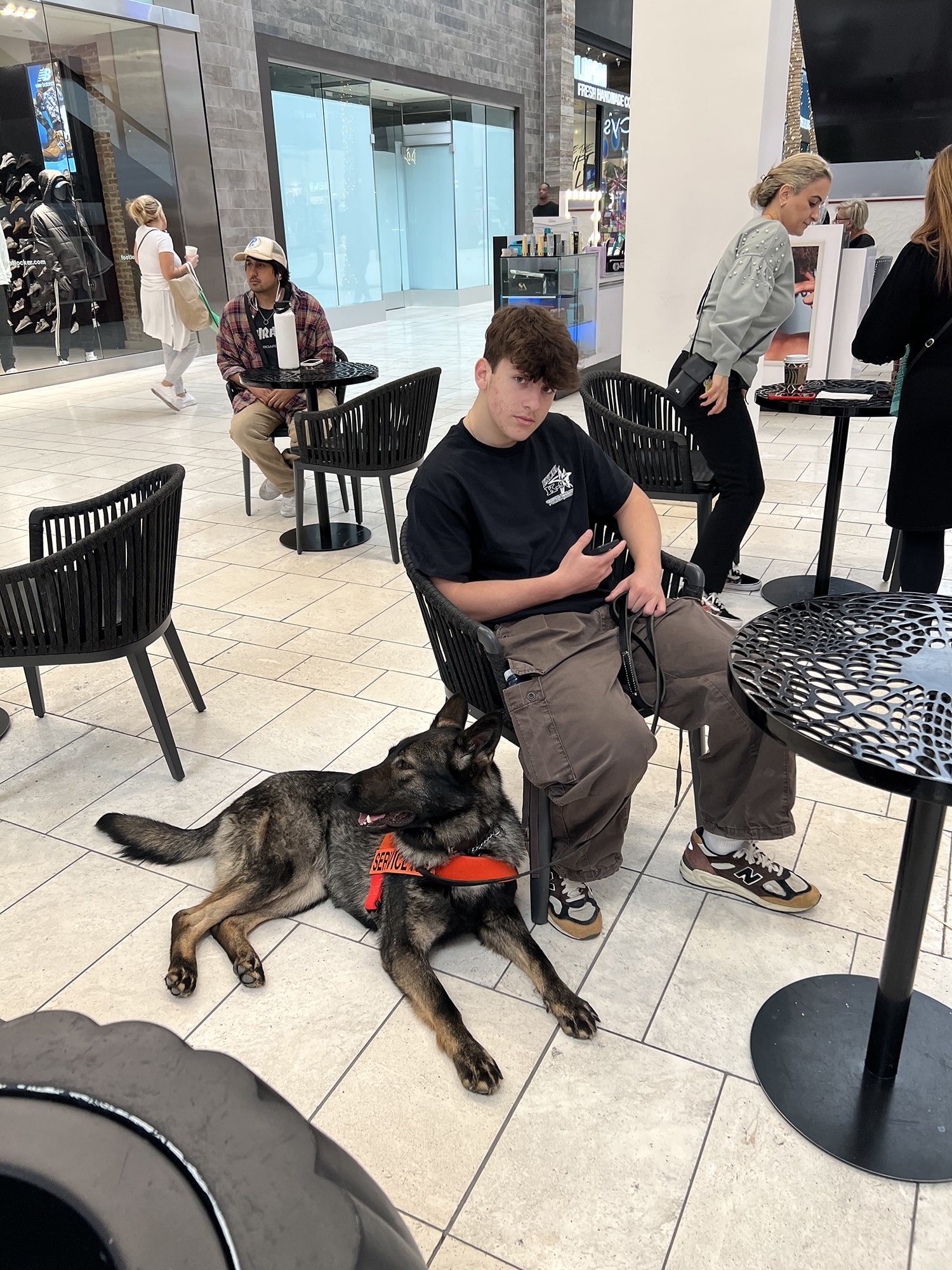 Executive Family Protection Dogs Excel K9